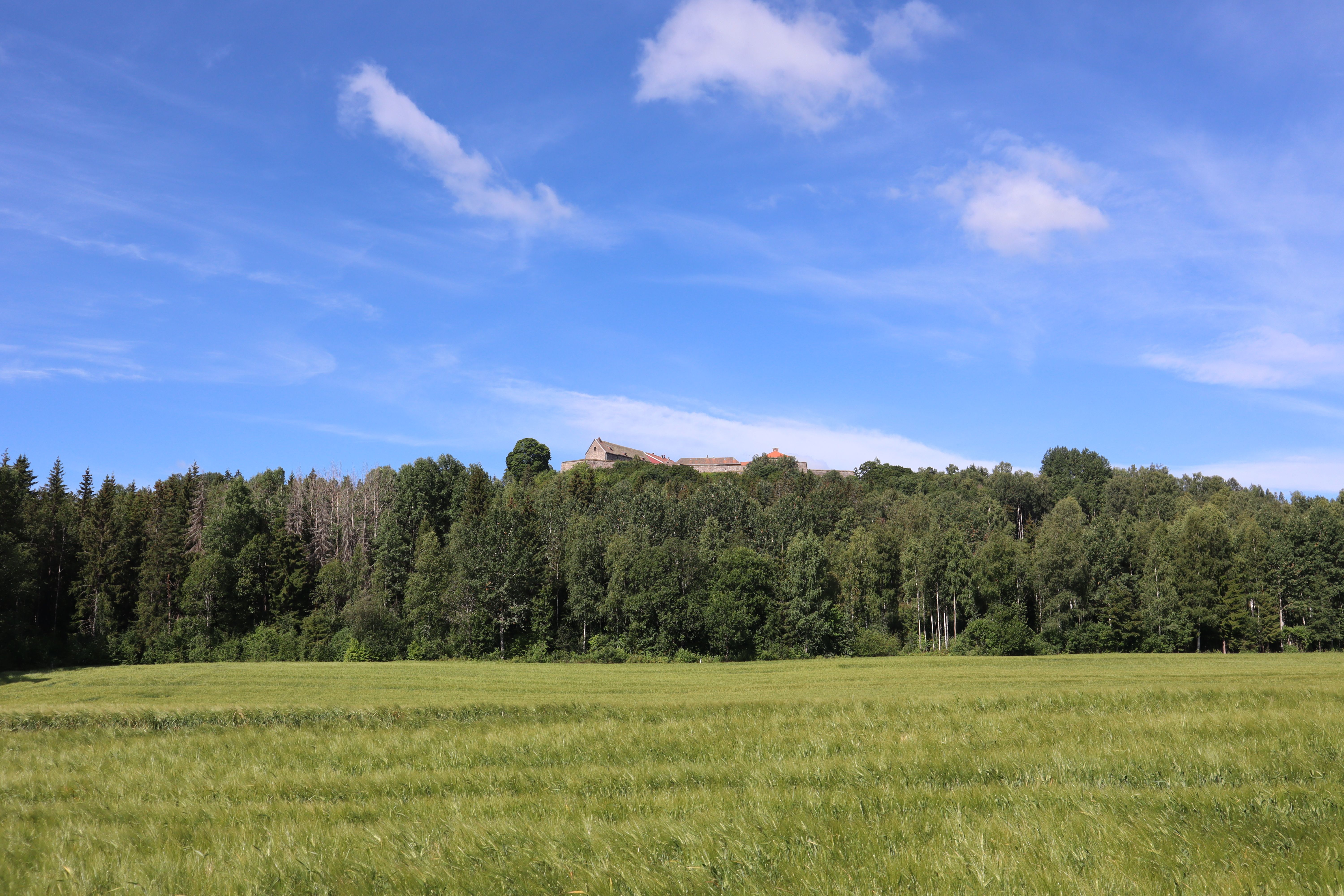Museums & attractions in Stillachtal (Stillach Valley)