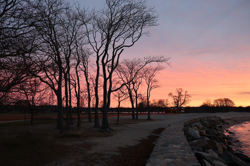 Free Tranquil dawn scene with bare trees silhouetted against a colorful winter sunrise by the shore. Stock Photo