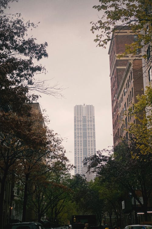 Photos gratuites de belle nature, central park, grande ville