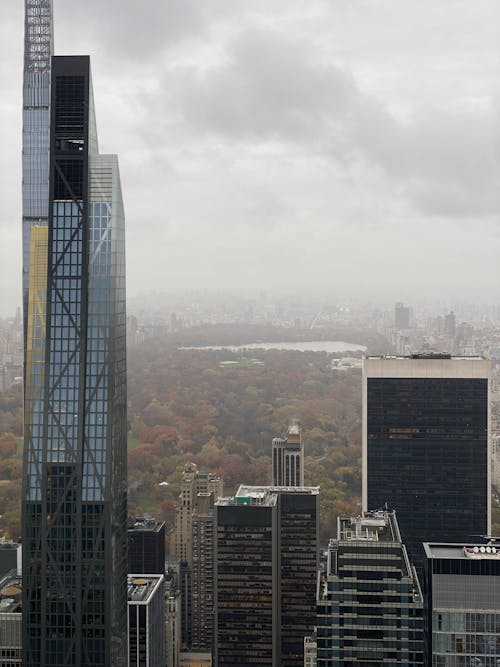 Základová fotografie zdarma na téma central park, mlhavý den, skyscapers