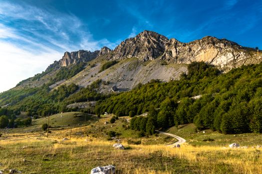 Breathtaking view of Lauterbrunnen's alpine mountains and lush green forests.