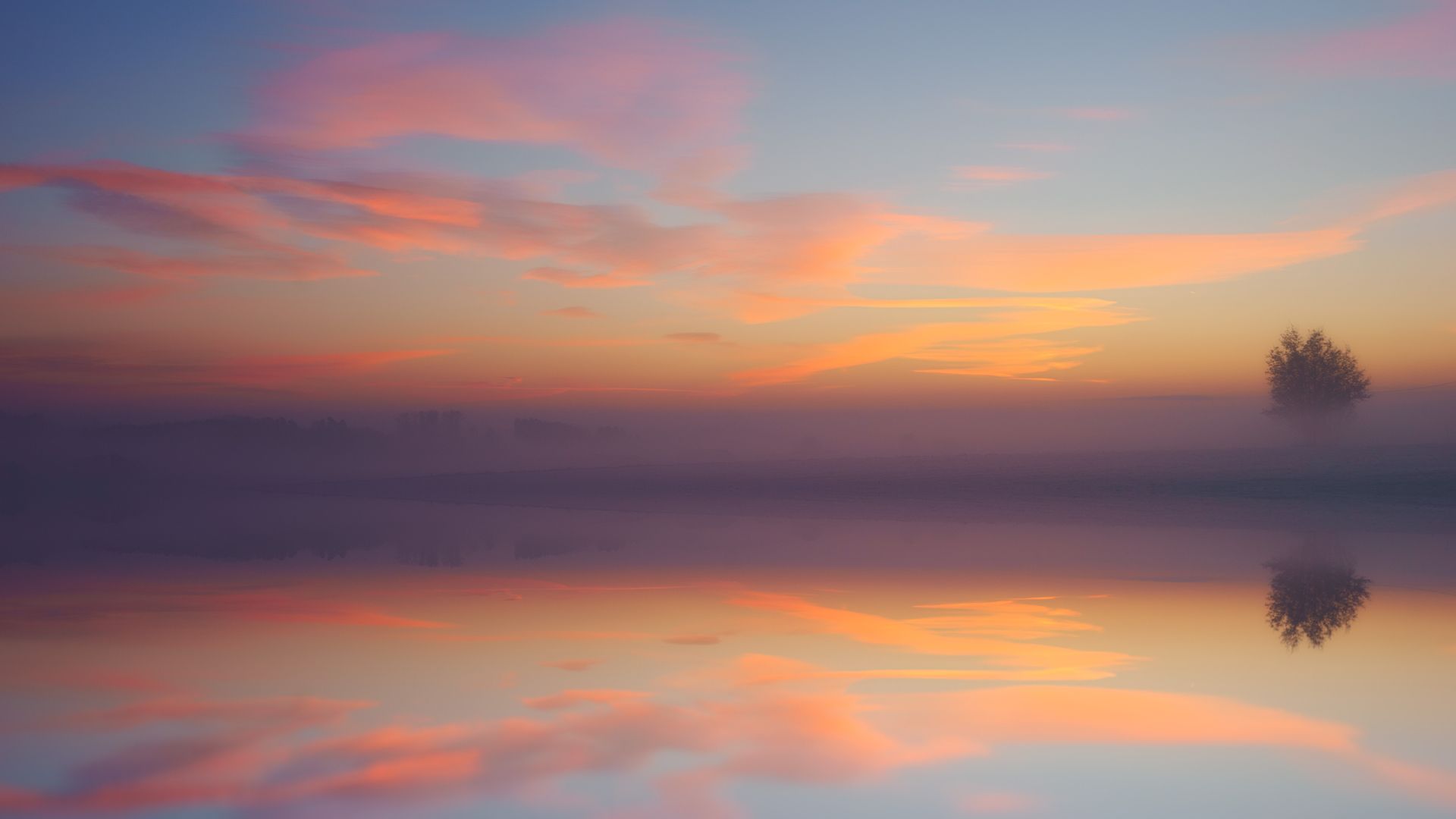Tranquil sunrise with colorful sky reflecting over calm waters and a lone tree.