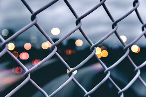 Free A Close-Up Shot of a Wire Mesh Fence Stock Photo