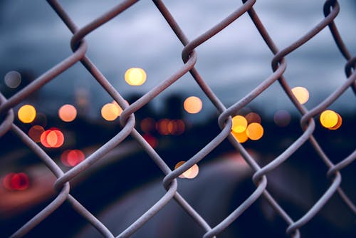 
A Close-Up Shot of a Wire Mesh Fence