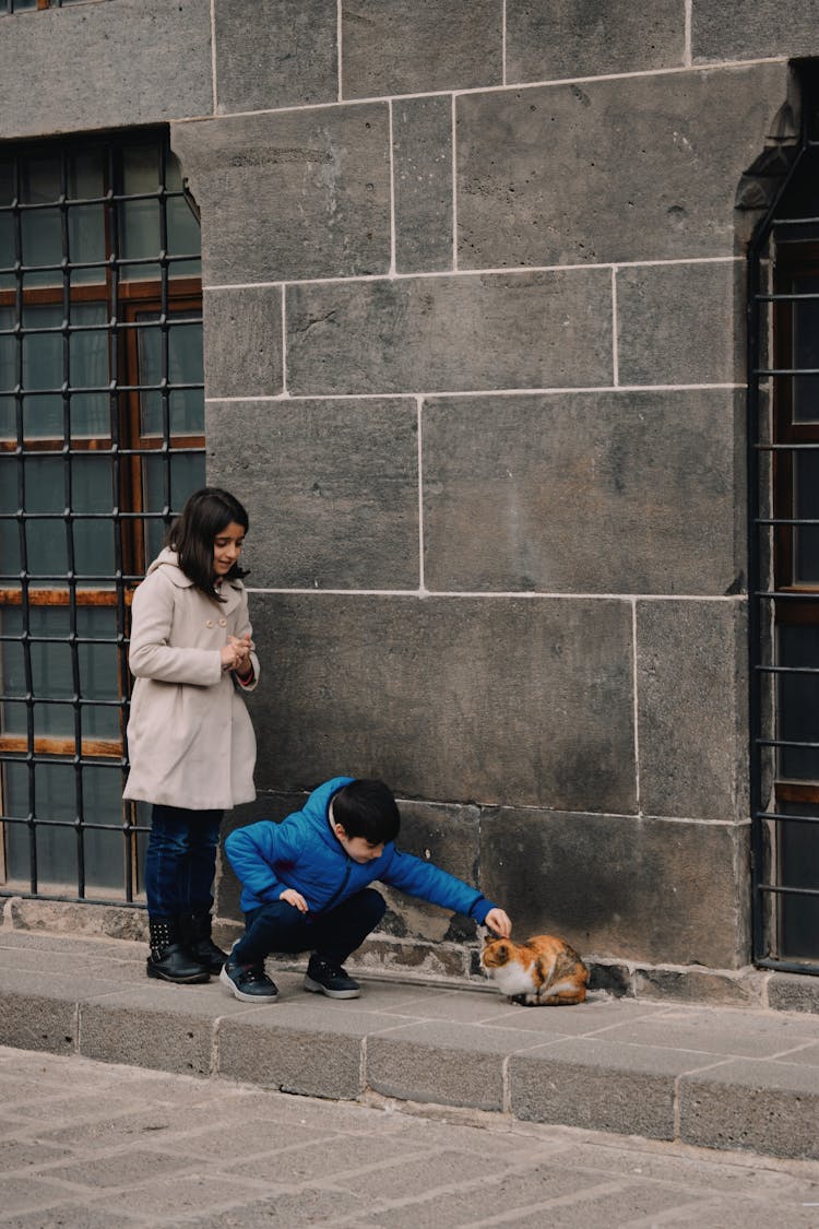 A Boy In Blue Puffer Jacket Touching The Cat At The Street 