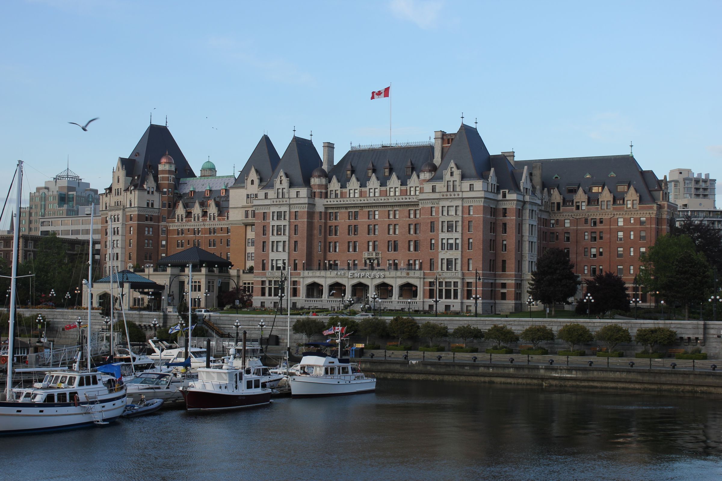 Vancouver Island Action‑Adventure Road Trip