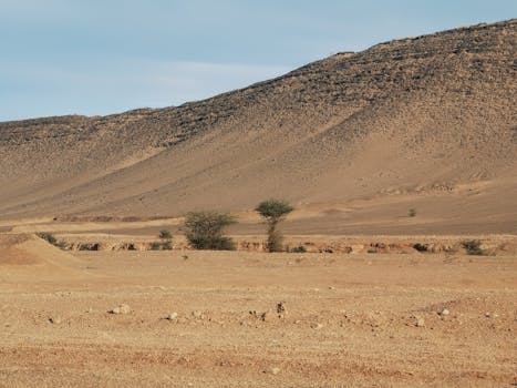 Serene desert scene with rolling hills and sparse vegetation under clear blue skies.