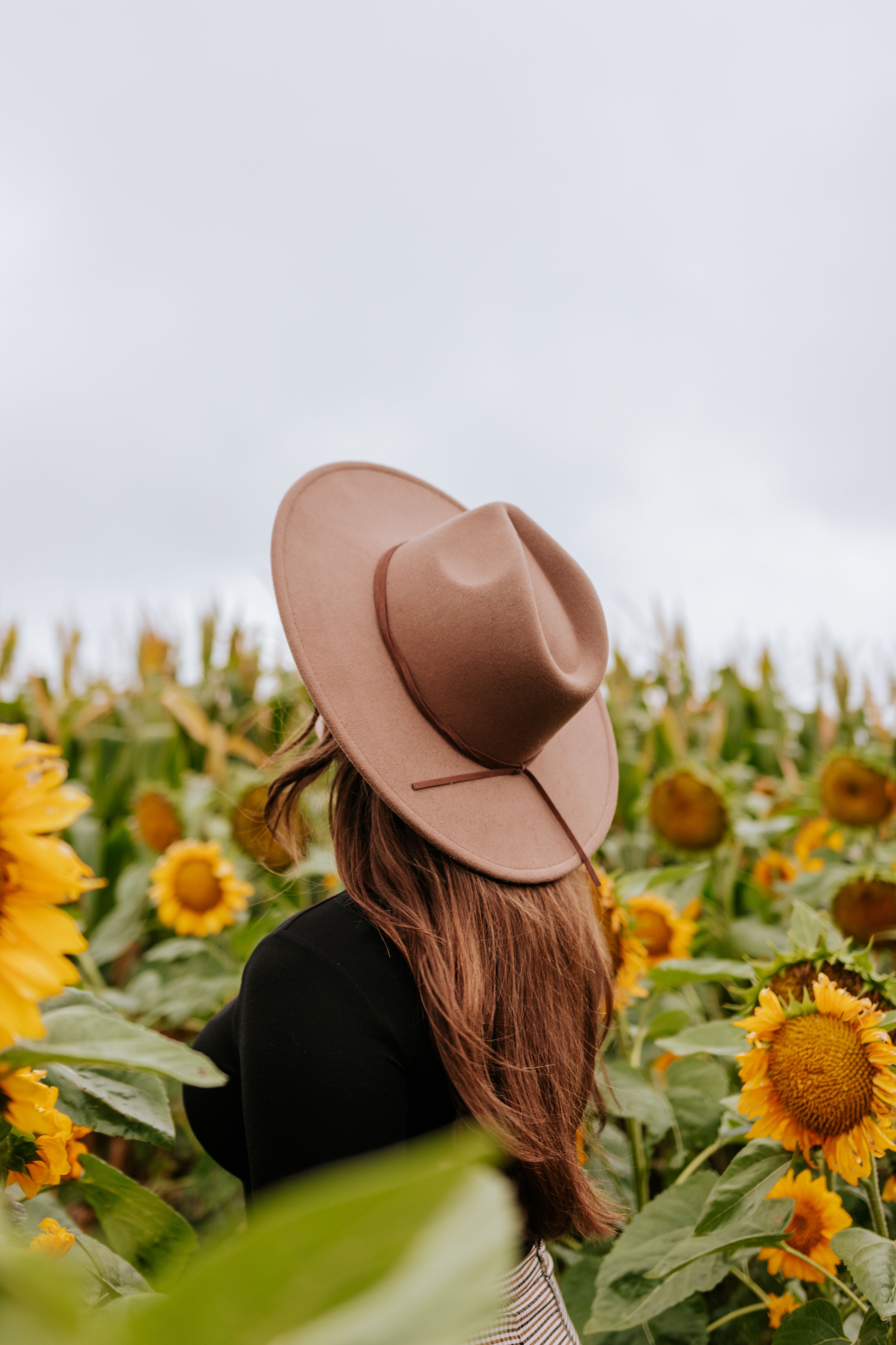 Back View of a Woman Standing in a Field · Free Stock Photo