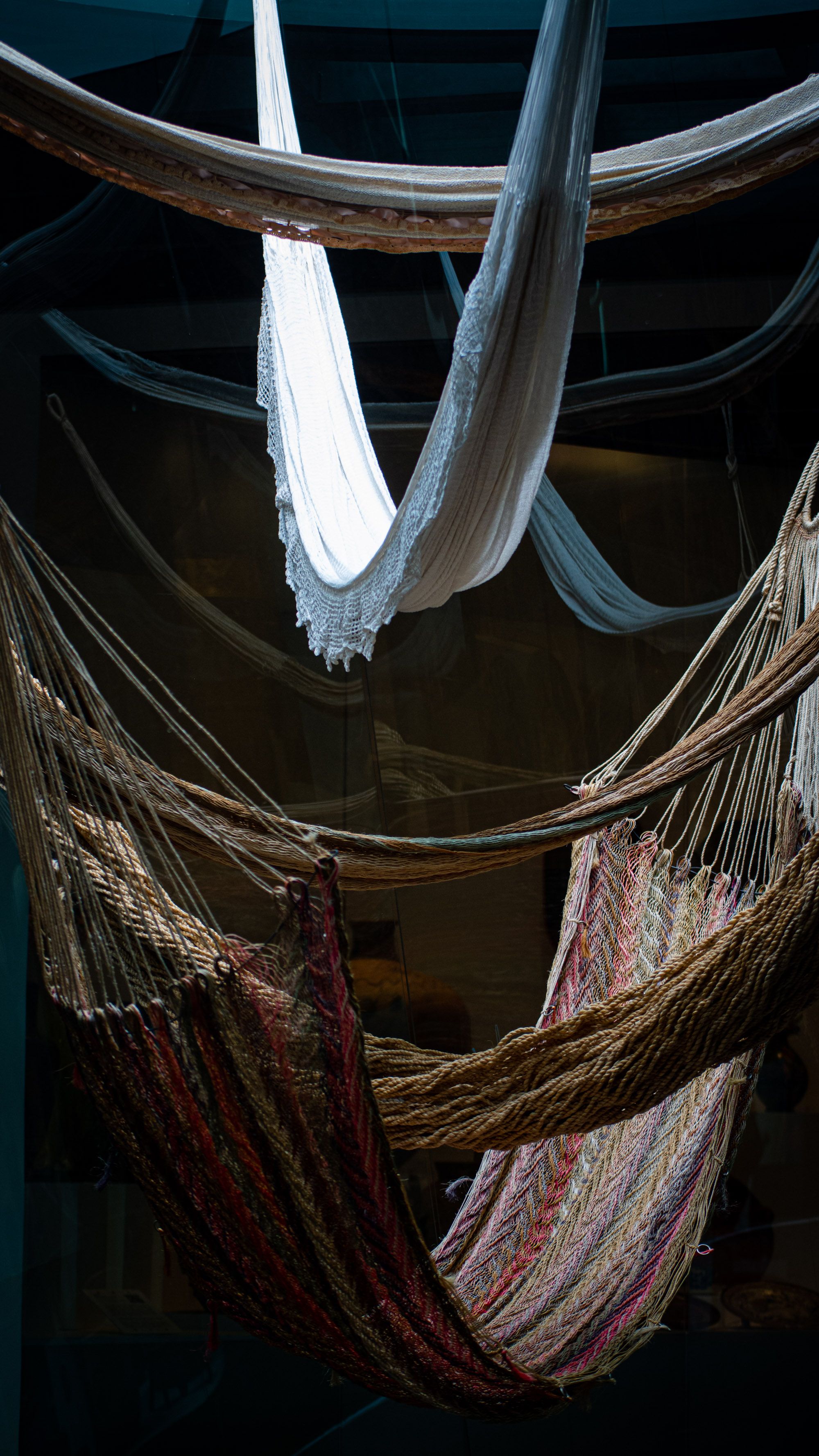 Hanging Hammocks and Ropes · Free Stock Photo
