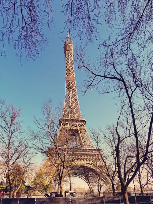 Free Low-angle view of the Eiffel Tower framed by bare trees against a clear blue sky. Stock Photo