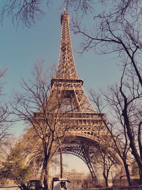 Free Eiffel Tower captured in winter with bare trees, viewed from a low angle in Paris' Champ de Mars. Stock Photo