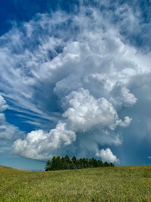 Trees on Hill under Clouds