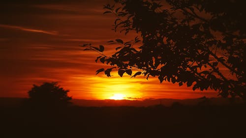 日落背景, 美麗的夕陽, 金色的夕陽 的 免費圖庫相片