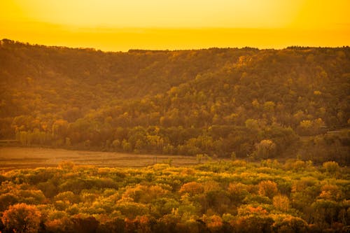 Základová fotografie zdarma na téma krajina, malebný, oranžová obloha