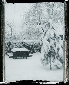 Peaceful winter scene with snow-laden trees and a bench in a backyard.