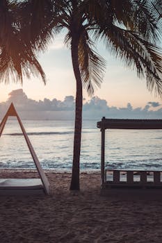 Peaceful view of a tropical beach with palm trees at sunrise. Perfect for relaxation and travel inspiration.