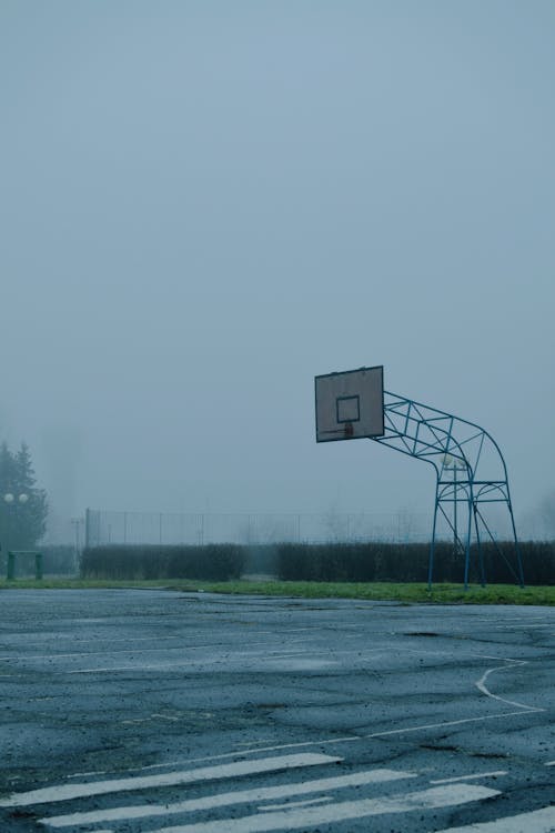 Basketball Hoop by Misty Concrete Court