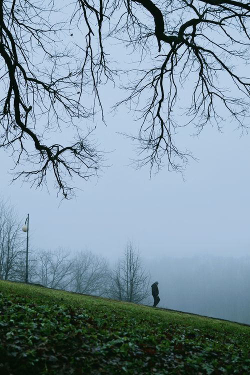 Free A solitary person walks down a foggy hill surrounded by leafless trees and overcast skies. Stock Photo