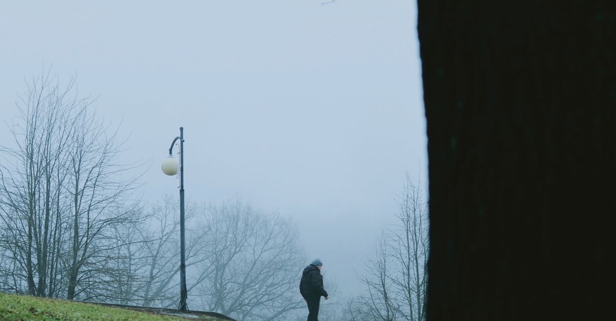 Fall Alone Person Walking Alone in a Foggy Autumn Park · Free Stock Photo