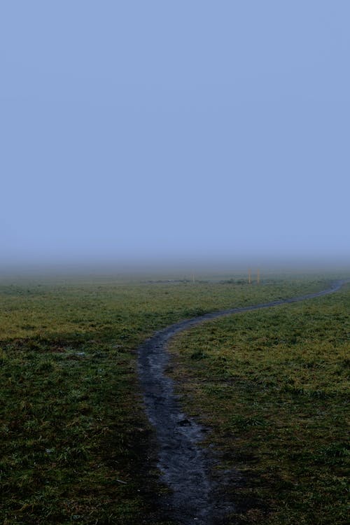 Photos gratuites de champ, chemin de terre, clairière