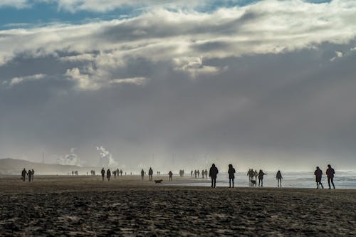 Fotos de stock gratuitas de diciembre, frente a la playa, grupo de personas