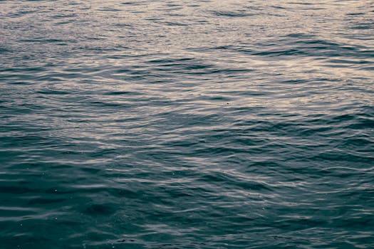 Tranquil ocean surface at dusk with shimmering light reflections, creating a serene atmosphere.