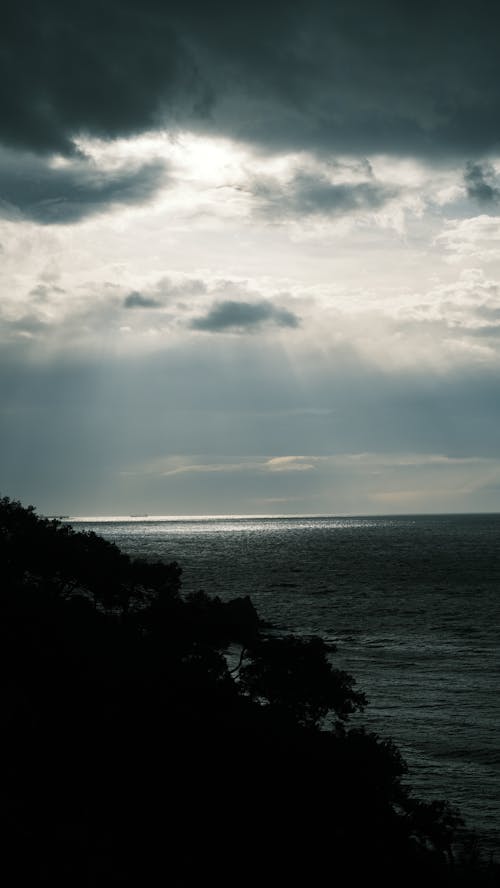 Ocean during Sunset