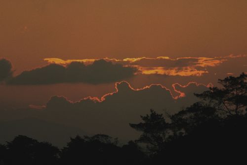 Free A dramatic sunset sky with dark clouds and silhouetted trees create a breathtaking natural scene. Stock Photo