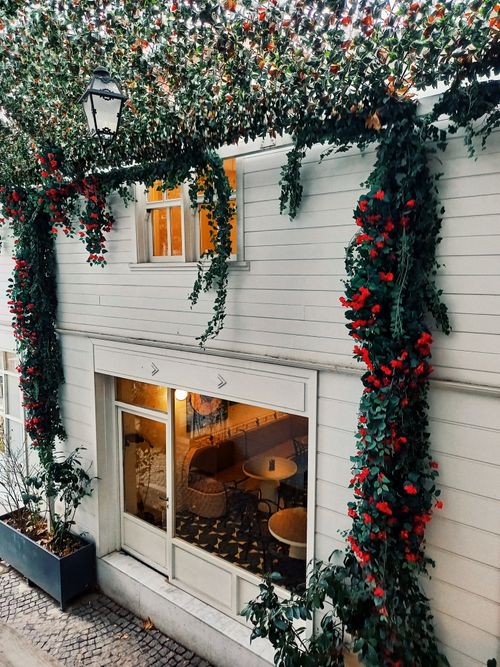 Free Cozy cafe with hanging plants and vibrant red flowers on a white wall facade. Stock Photo