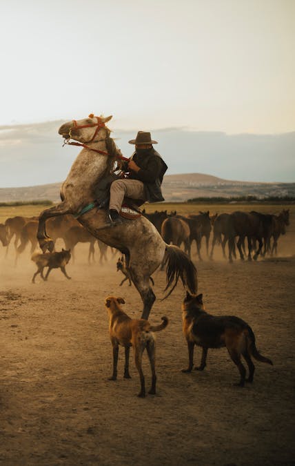 Photo by Nevzat Öztürk