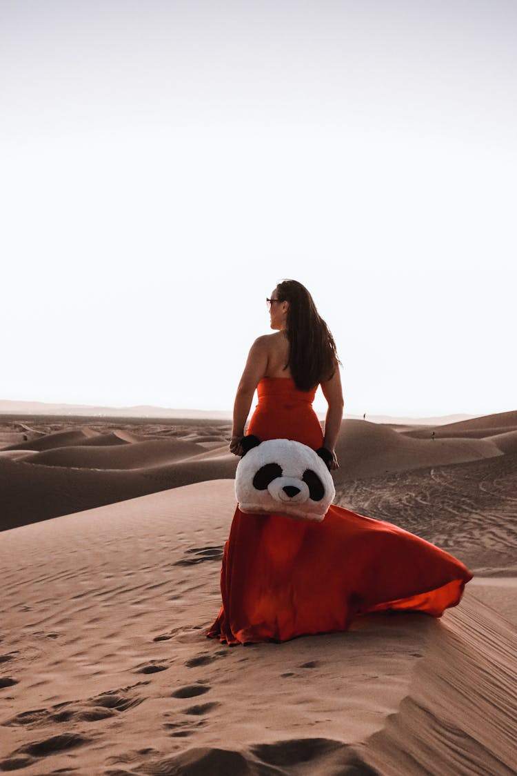 Woman In Red Dress In Desert