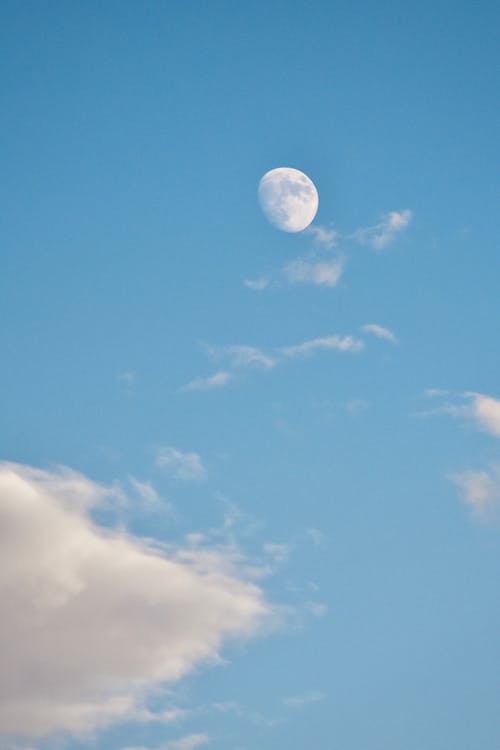 Immagine gratuita di cielo azzurro, cloud, libertà