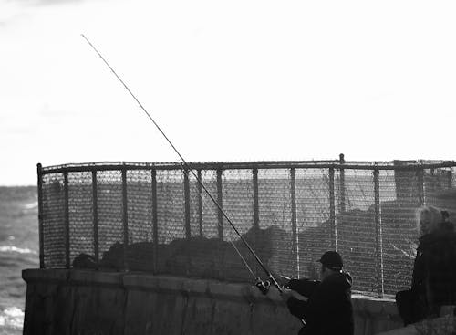 Balık tutmak, boş zaman, chainlink çit içeren Ücretsiz stok fotoğraf