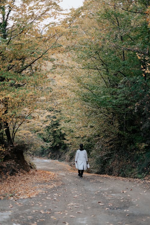 Back View of a Person Walking on the Dirt Road between Trees in the Forest