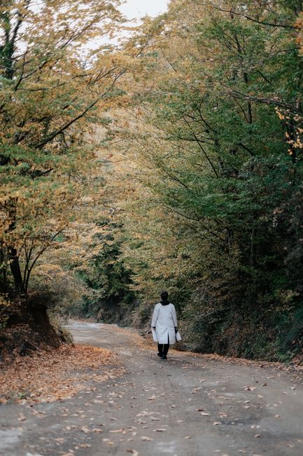 A person walks solitary on a dirt road surrounded by autumn trees in a serene forest setting.