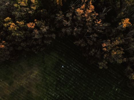 Drone shot capturing vibrant fall foliage and green fields in Wembley, West Australia.