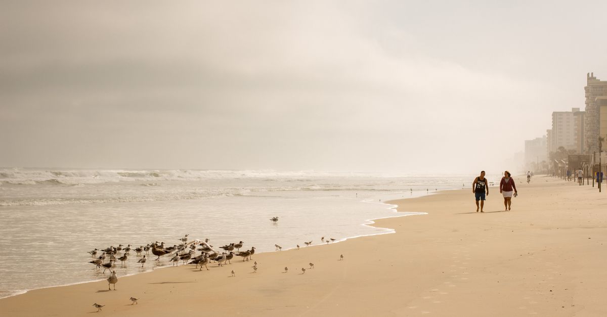 A serene morning view of people walking along the sands of Daytona Beach with birds nearby.