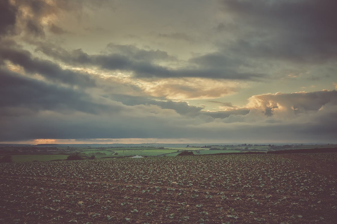 Scenic View of Farm Field Under Cloudy Sky