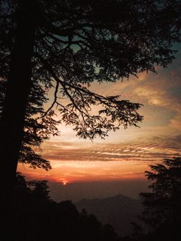 A captivating view of a sunset through tree branches in Jakha, India, enveloped by a dramatic sky.
