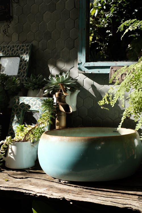 Large Ceramic Pot Near Potted Plants