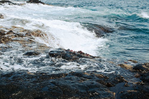 Free Splash in a Stream  Stock Photo