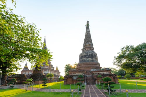 Ảnh lưu trữ miễn phí về ayutthaya, cây, chùa