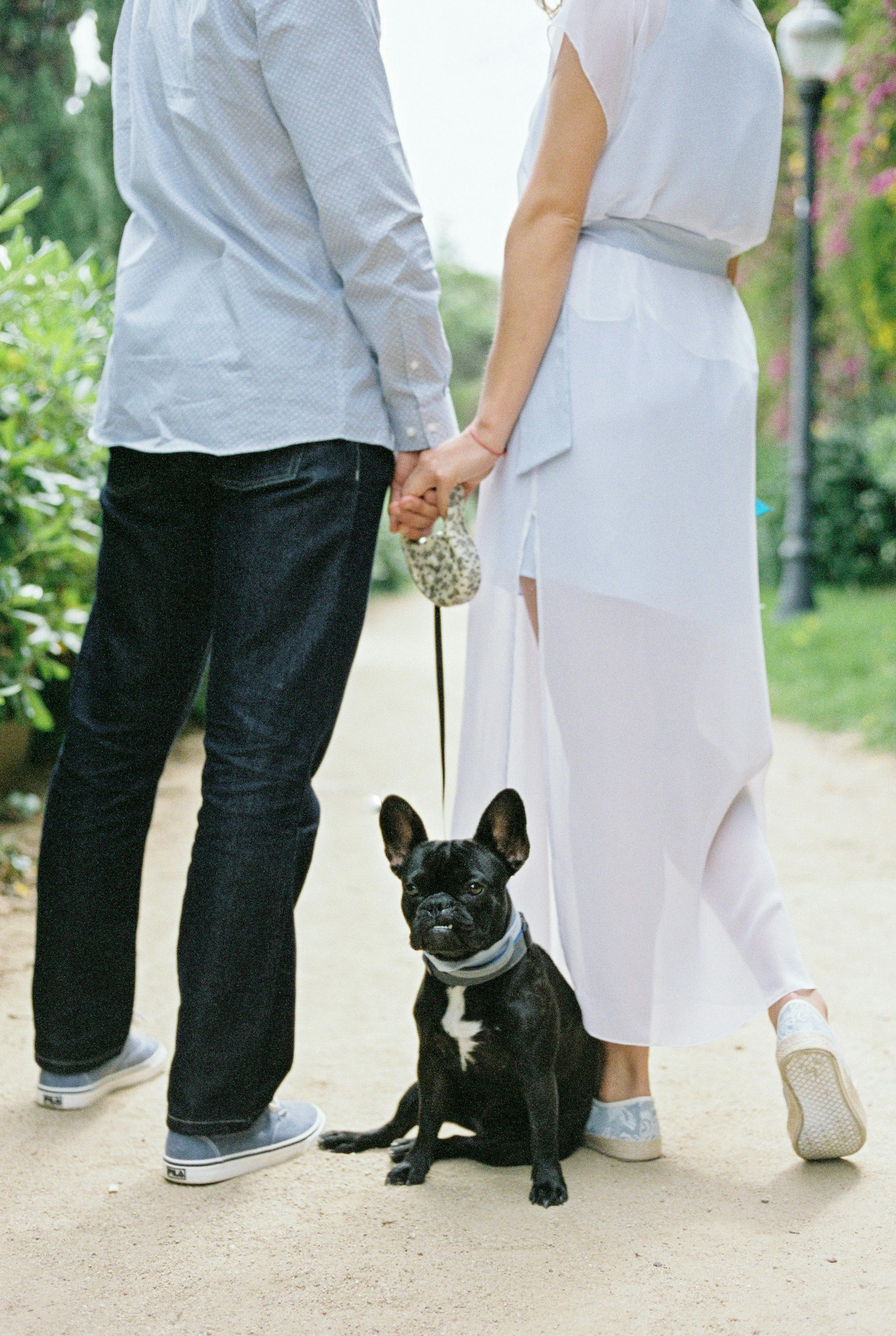 Couple with Dog Holding Hands · Free Stock Photo