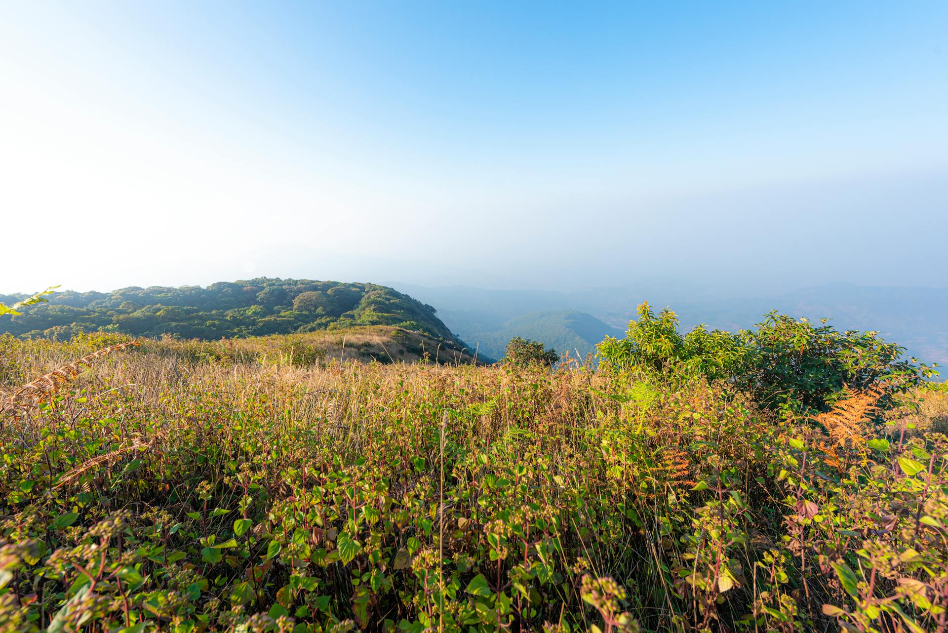 Doi Inthanon, Chiang Mai, Thailand