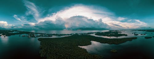 Seashore Under Gray Sky