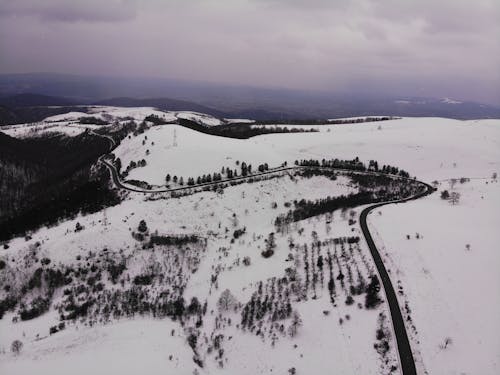 Immagine gratuita di fuori, inverno, sfondo invernale