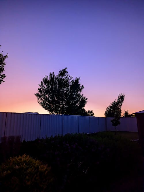 Free stock photo of backyard, dusk, evening