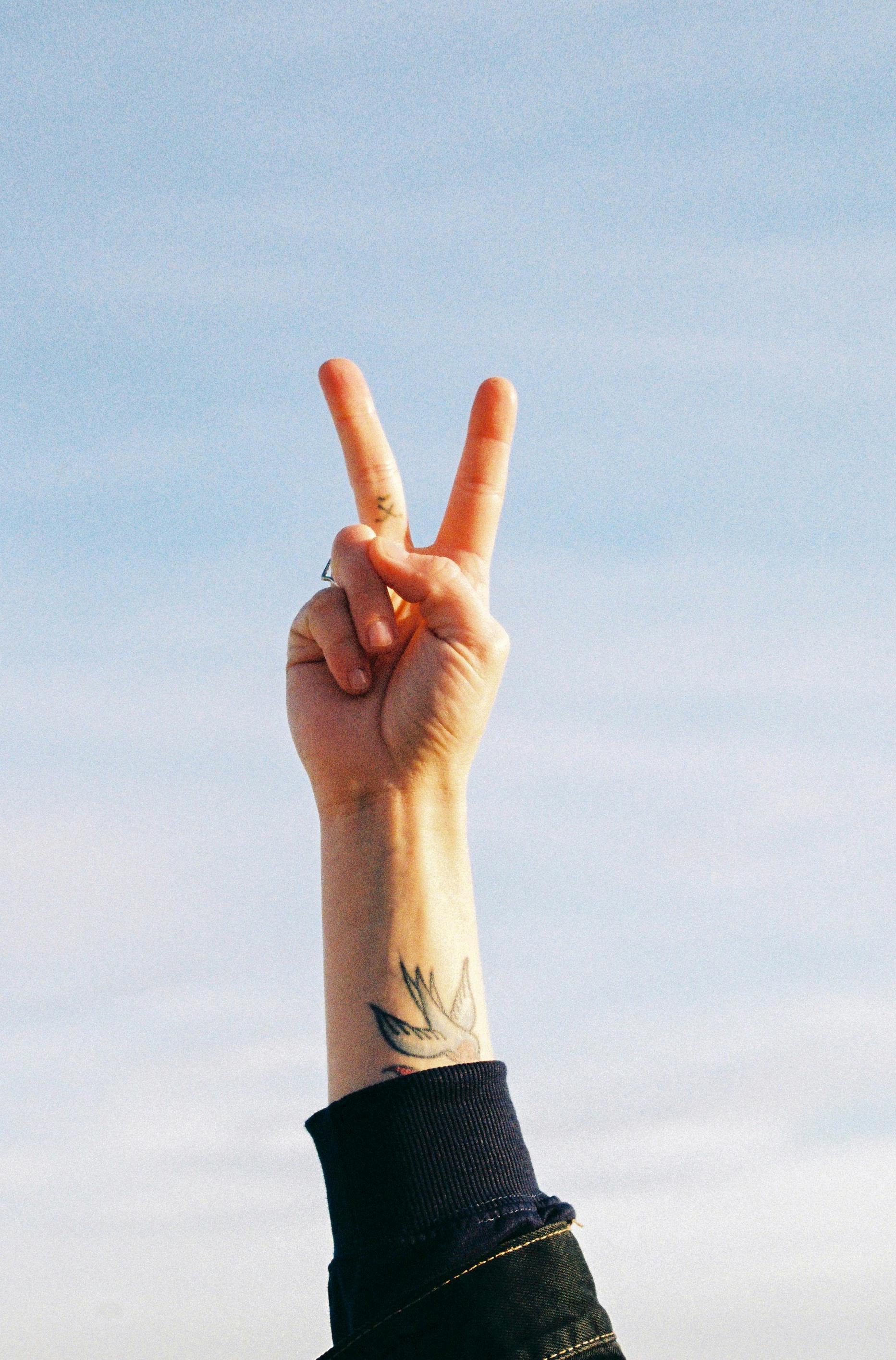 Hands Of Black People In Black And White Shirts · Free Stock Photo