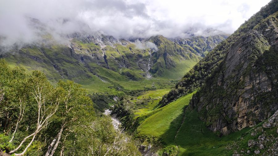 Valley of Flowers National Park photo 4