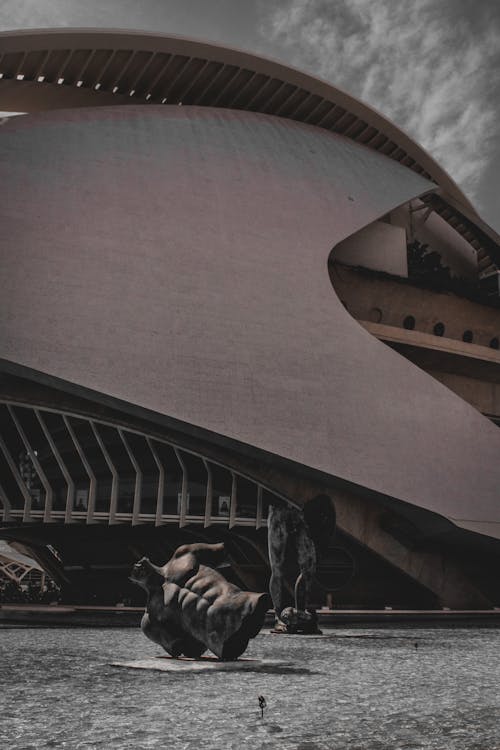 Sculptures at Queen Sofia Palace of Arts in Valencia